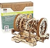 UGEARS STEM Lab 3D Puzzles - Spielset STEM - 3D Holzbausatz - DIY Mechanical Science Kit - Wissenschaftliches STEM Spielzeug mit App Holzmodell Kits für Erwachsene und Kinder 8+ (Differenzialgetriebe)